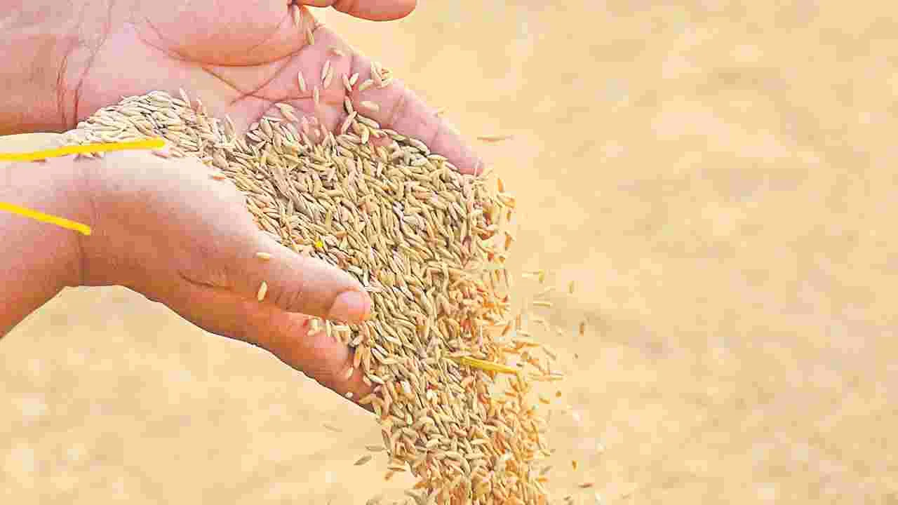 నెల గడిచినా అందని ధాన్యం బోనస్