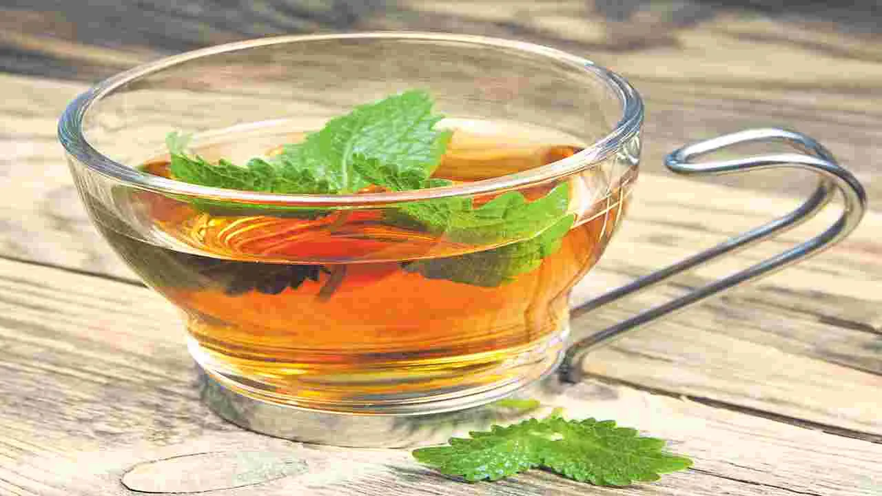 Green Tea : గ్రీన్‌ టీ తాగుతున్నారా..!