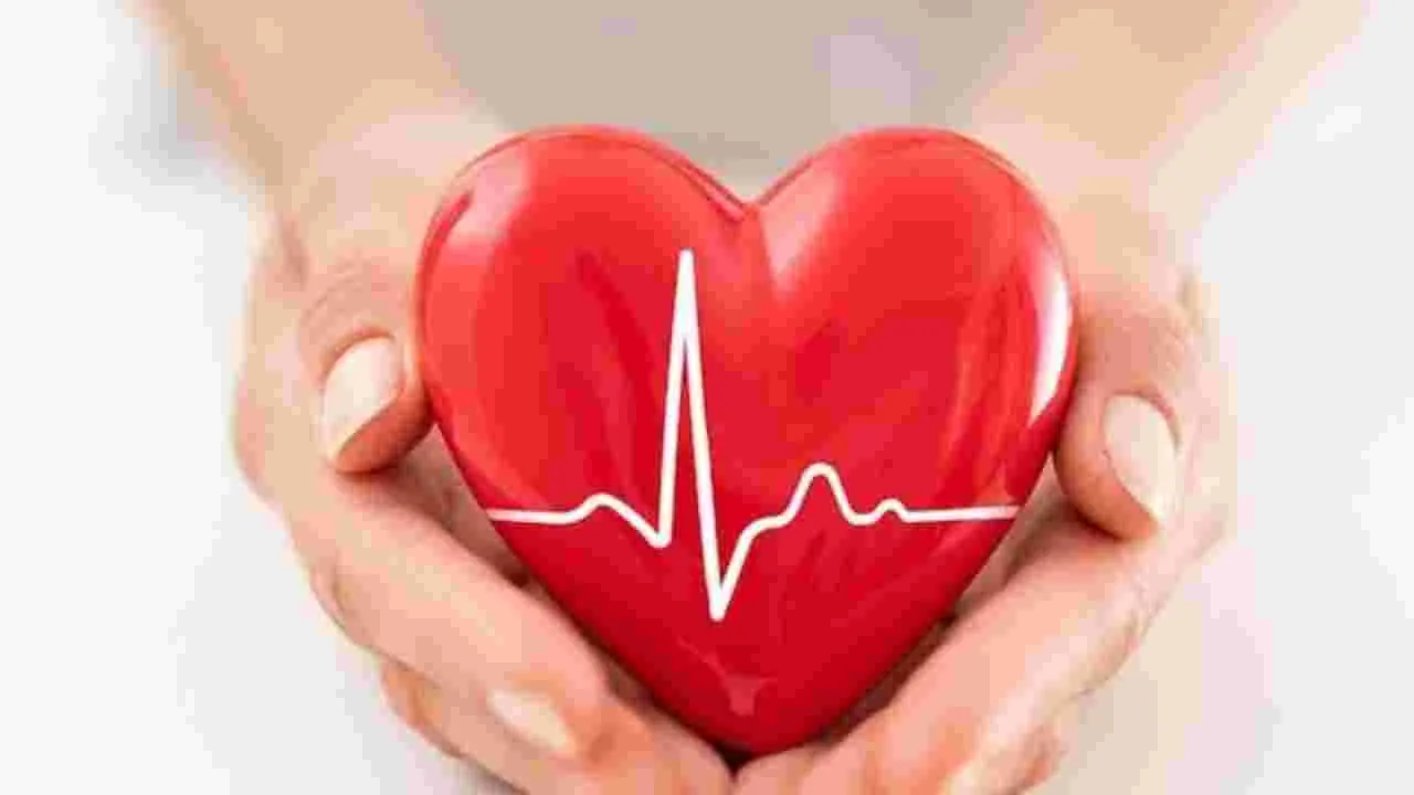 Health Tips: ఈ 5 సంకేతాల నుండి మీ గుండె ఆరోగ్యంగా ఉందో లేదో తెలుసుకోండి..