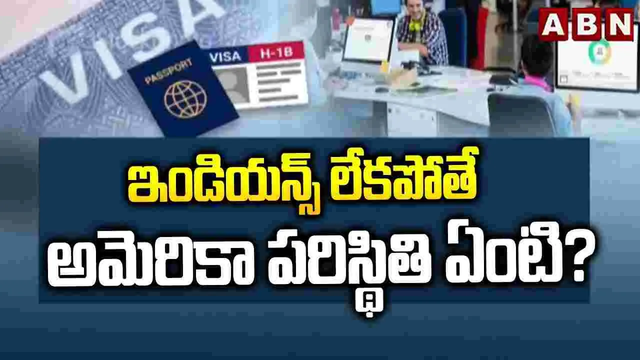 ఇండియన్స్ లేకపోతే అమెరికా పరిస్థితి ఏంటి? |