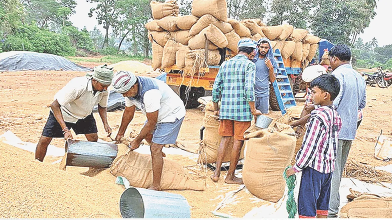 ముగింపు దశలో ధాన్యం కొనుగోళ్లు..