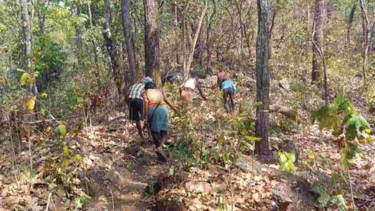 వేటకు వెళ్లి బలయ్యాడు!