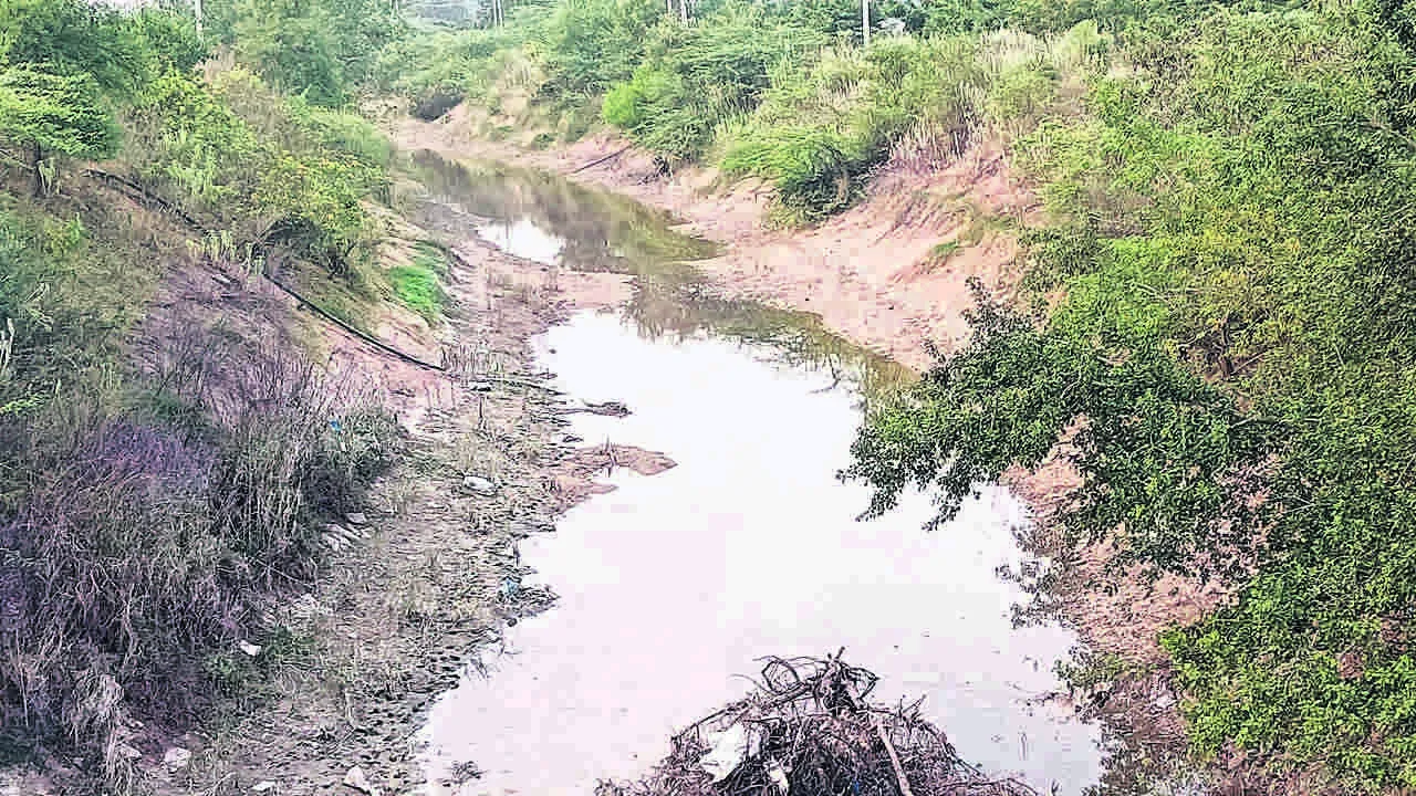 వారం రోజుల్లో గోదావరి జలాలు 