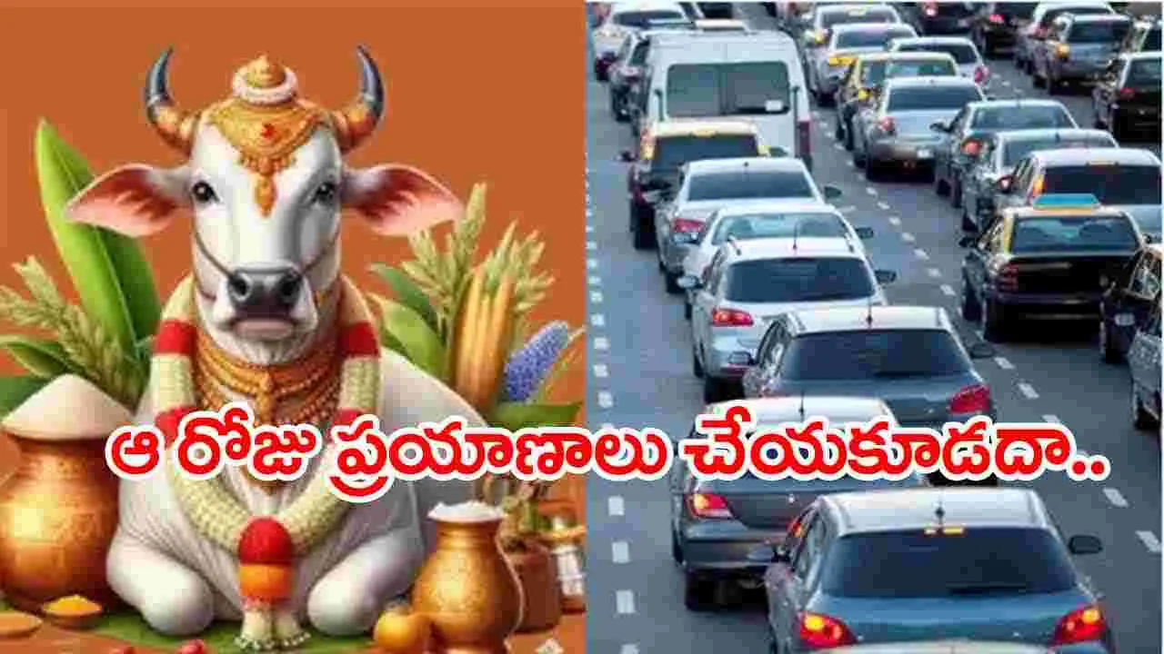 Sankranti: కనుమ రోజు ప్రయాణాలు చేయకూడదు.. ఎందుకంటే..