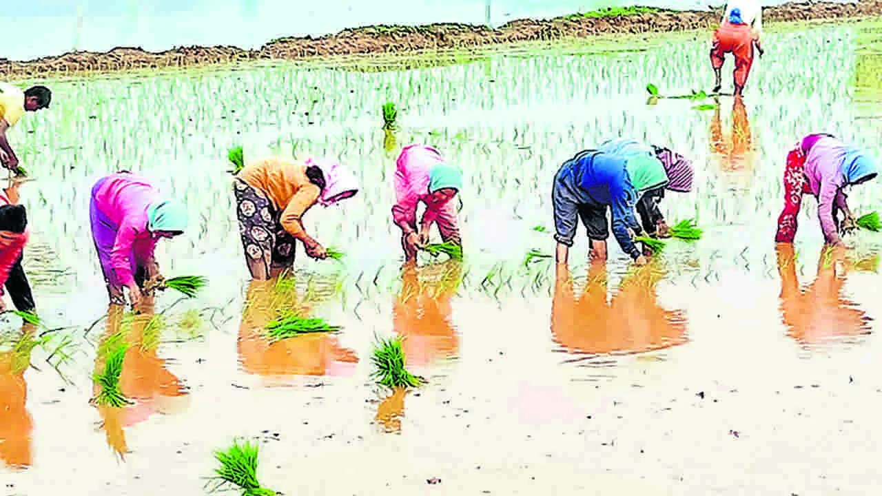 సమీపిస్తున్న గడువు.. అందని మార్గదర్శకాలు