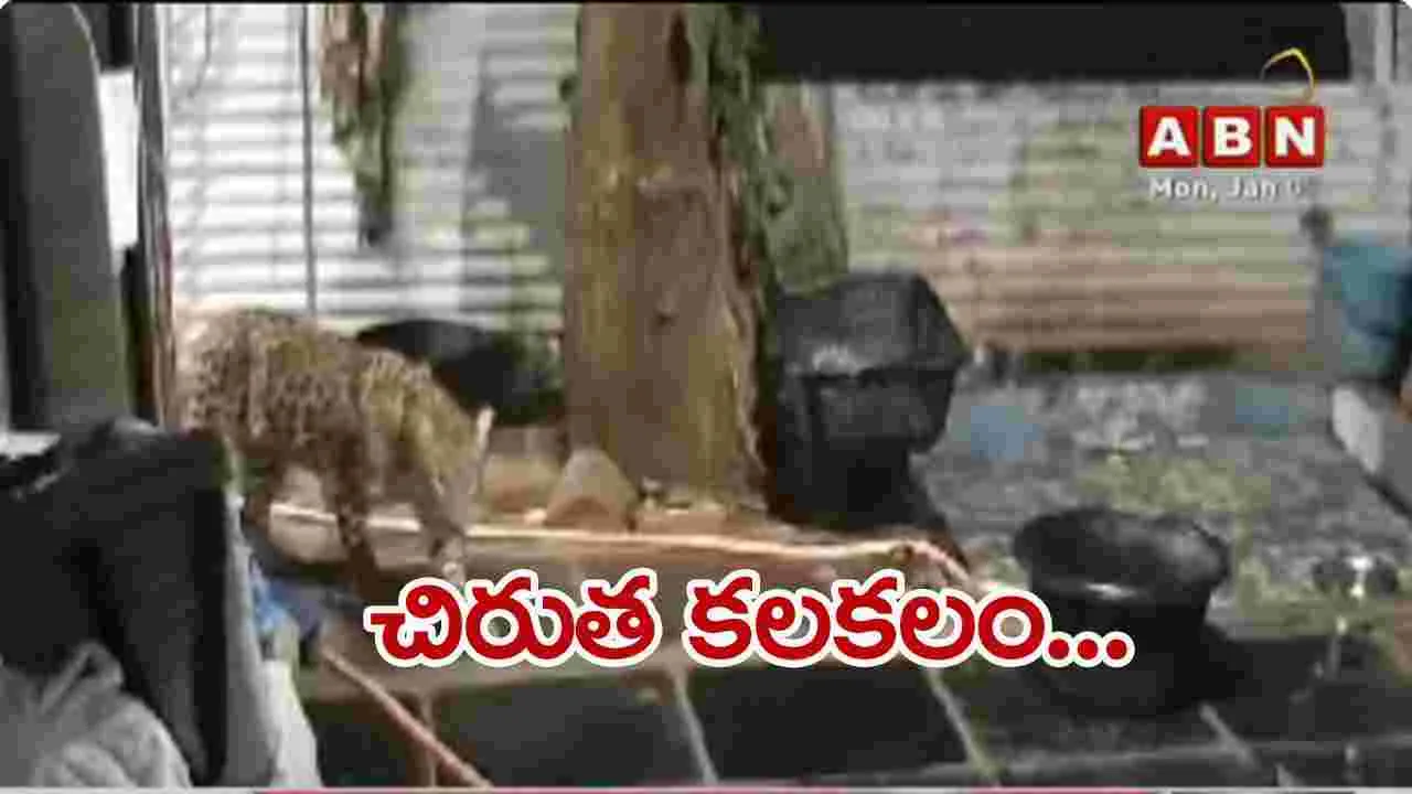 Leopard Kalakalam: శ్రీశైలంలో చిరుతపులి కలకలం..