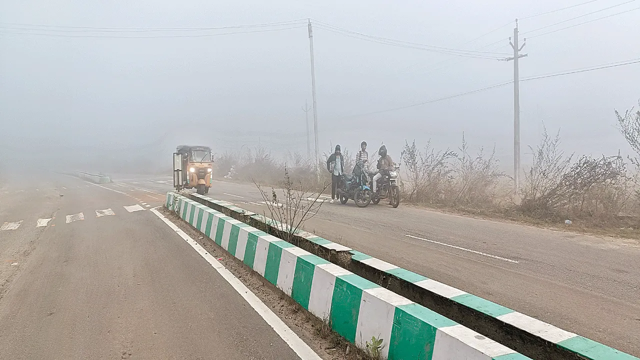 దట్టంగా పొగ మంచు..