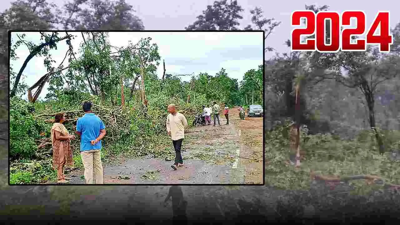 Year Ender 2024: భవిష్యత్తును భయపెడుతున్న ఈ ఏడాది అటవీ విధ్వంసం