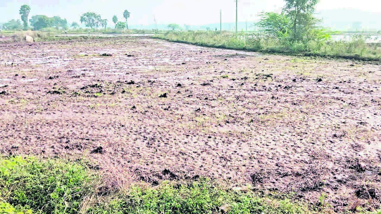 అన్యాక్రాంతవుతున్న మైనర్కాల్వలు