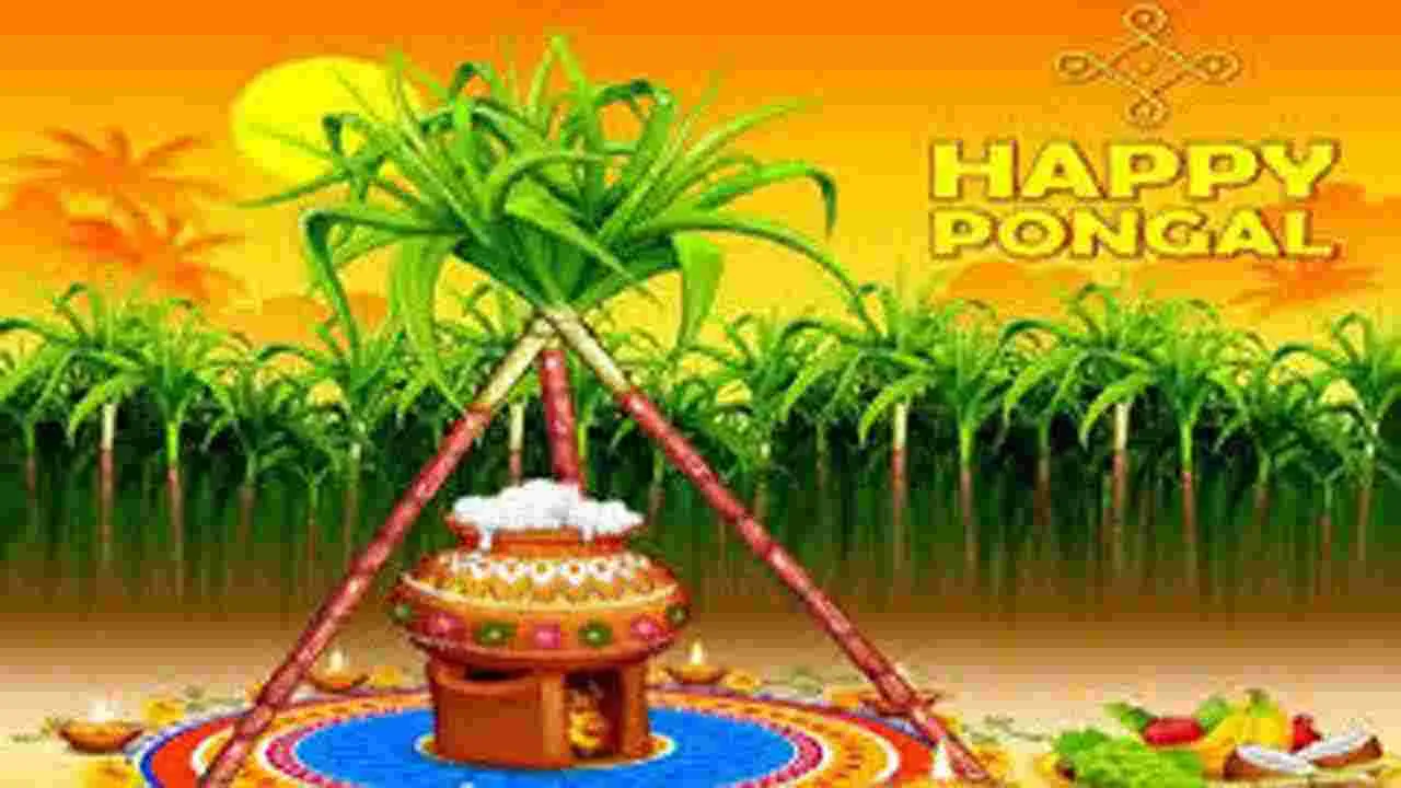 Pongal: పొంగల్‌ టోకెన్ల పంపిణీ ప్రారంభం