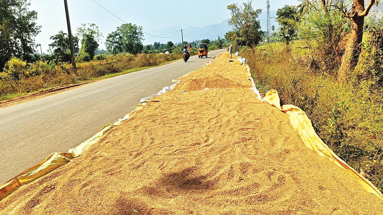 Farmers : సాలూరు మన్యంలో రైతులకు ఇక్కట్లు