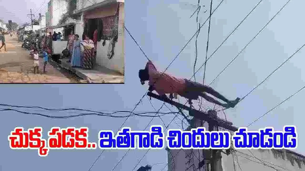 AP News: బాబోయ్ ఏంటి ఇది.. ఏకంగా కరెంట్ తీగలపైనే