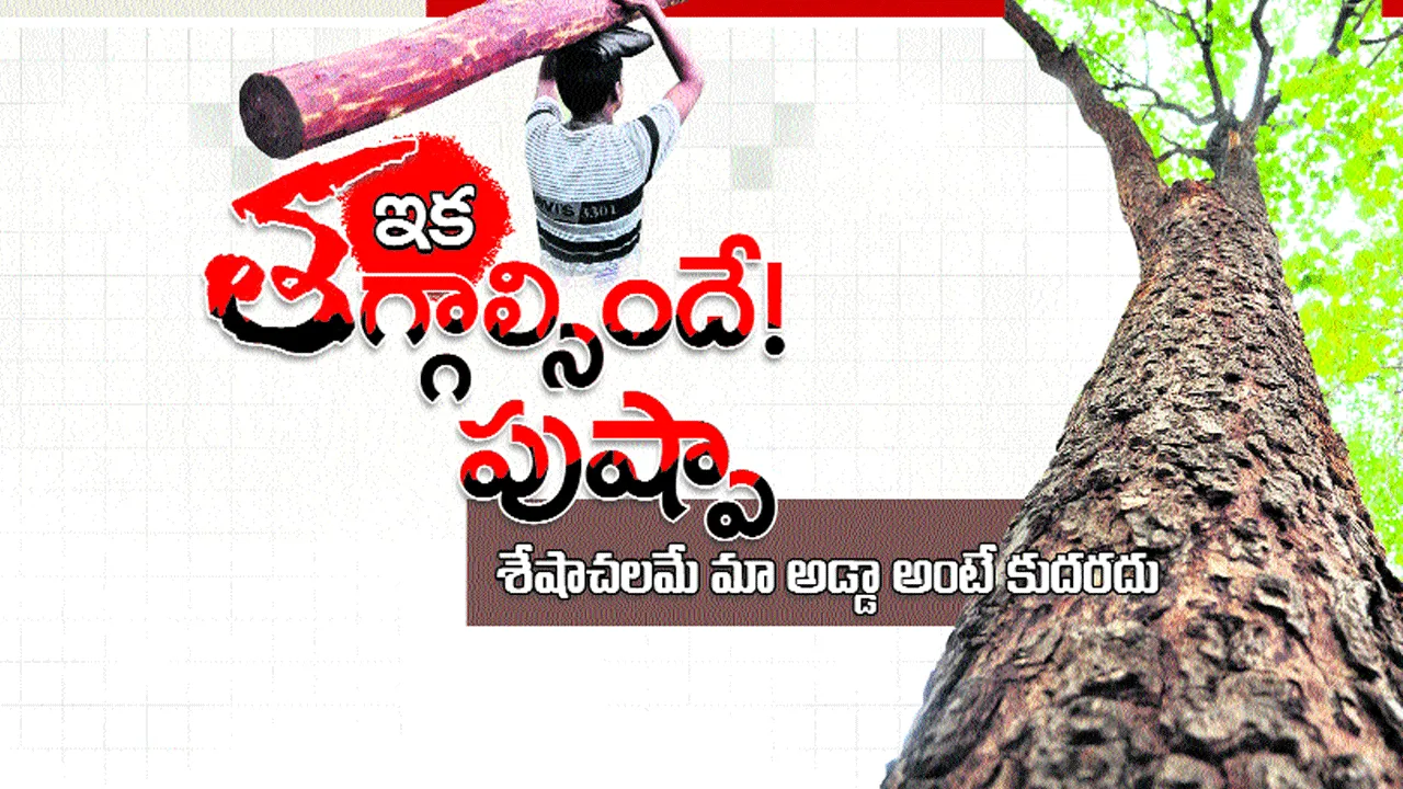 Pushpa red sandal  ఇక తగ్గాల్సిందే పుష్పా!