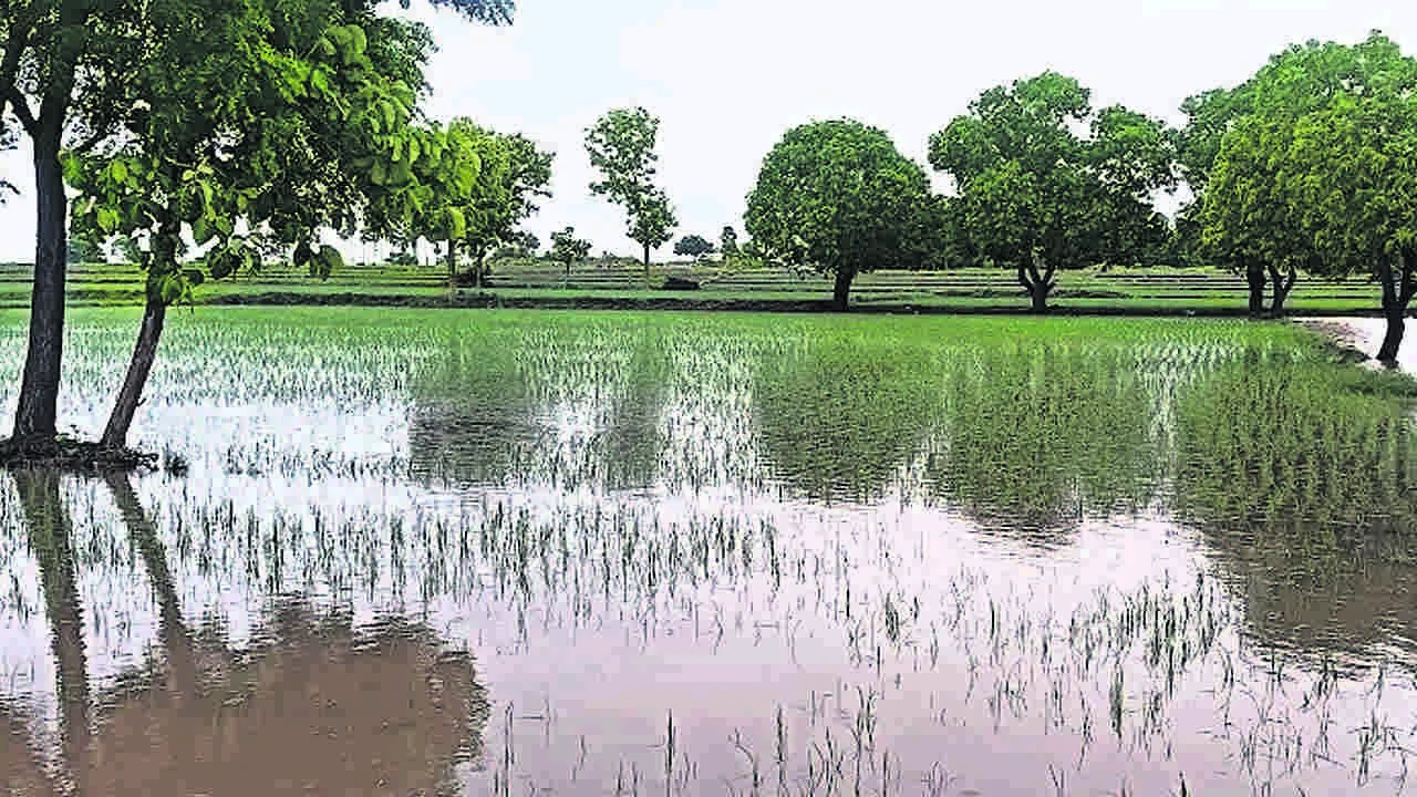 వరదలతో తీరని నష్టం