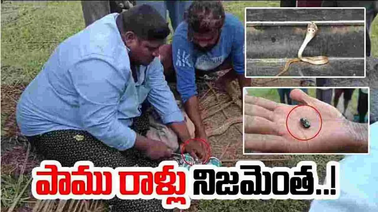 Mummidivaram: పాము రాళ్ల పేరుతో రైతులను బురిడీ కొట్టించిన కేటుగాళ్లు..