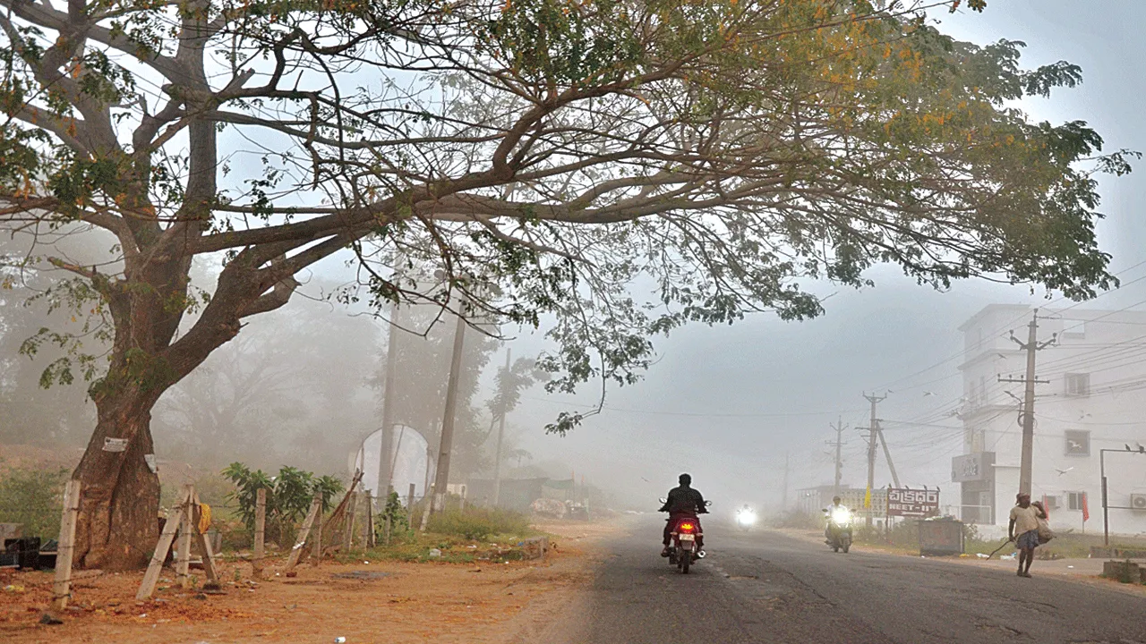 వణుకుతున్నారు..