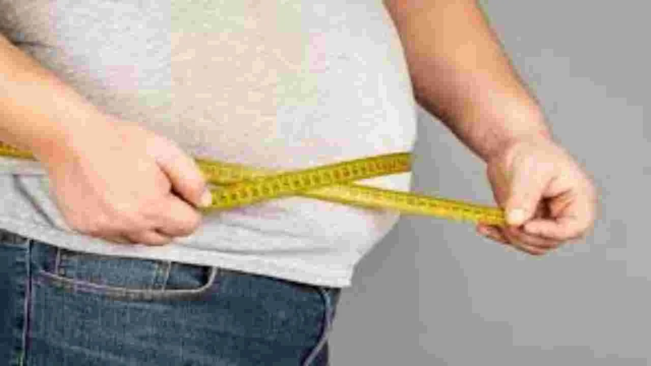 Weight Loss: రోజూ ఇంత దూరం నడిస్తే సులభంగా బరువు తగ్గుతారు..