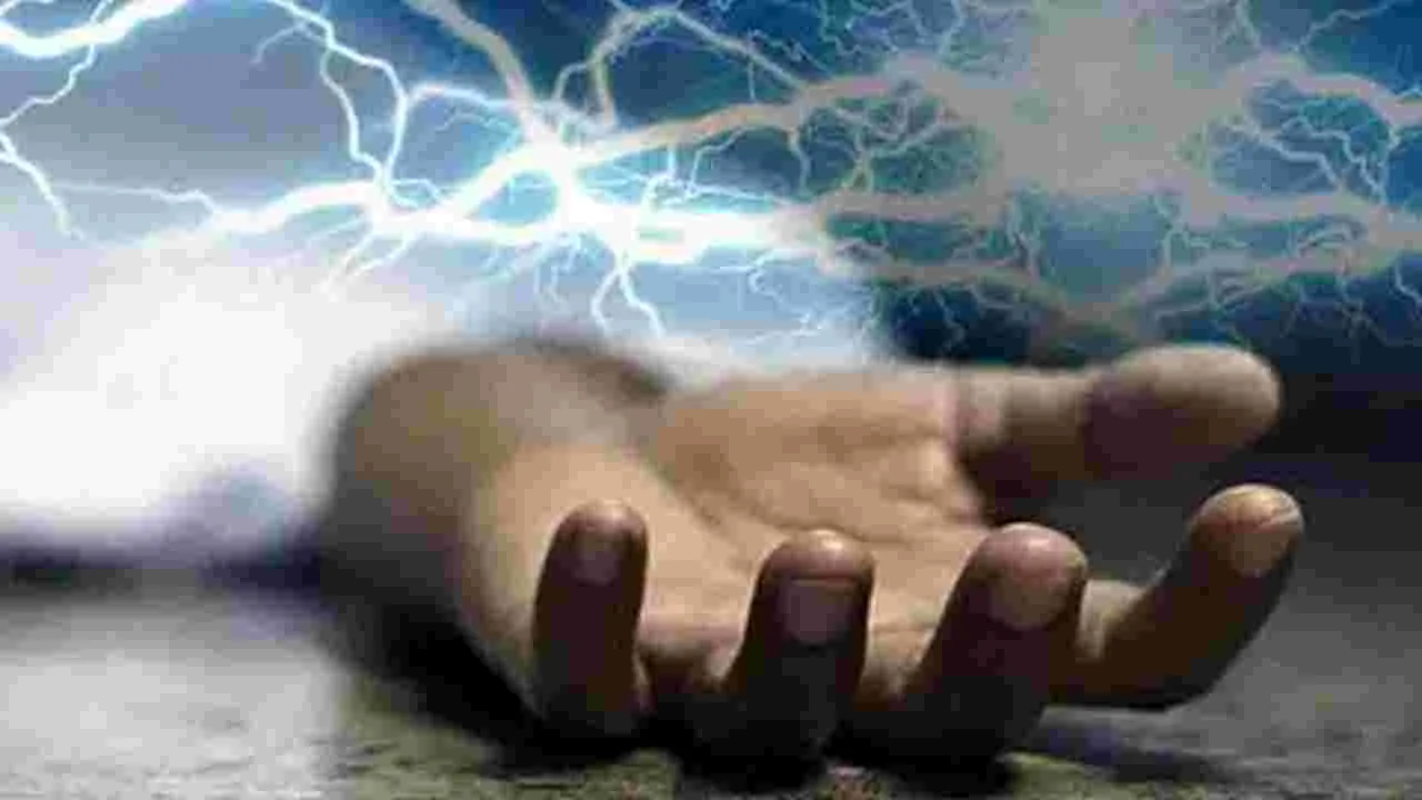 Farmer: విద్యుదాఘాతంతో రైతు మృతి...