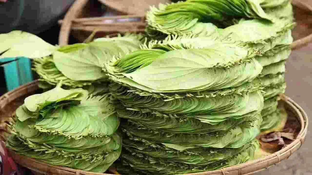 భోజనం తర్వాత తమలపాకులు తింటే ఏమవుతుందో తెలుసా.. 