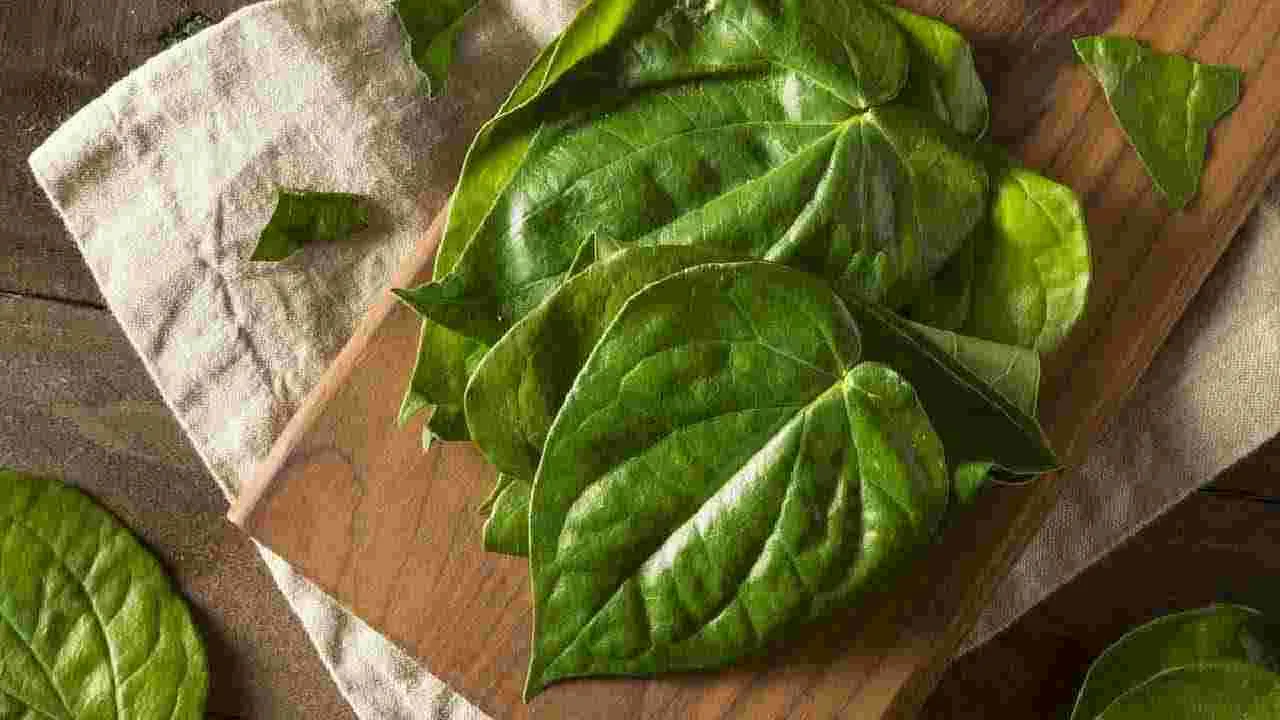 భోజనం తర్వాత తమలపాకులు తింటే ఏమవుతుందో తెలుసా.. 