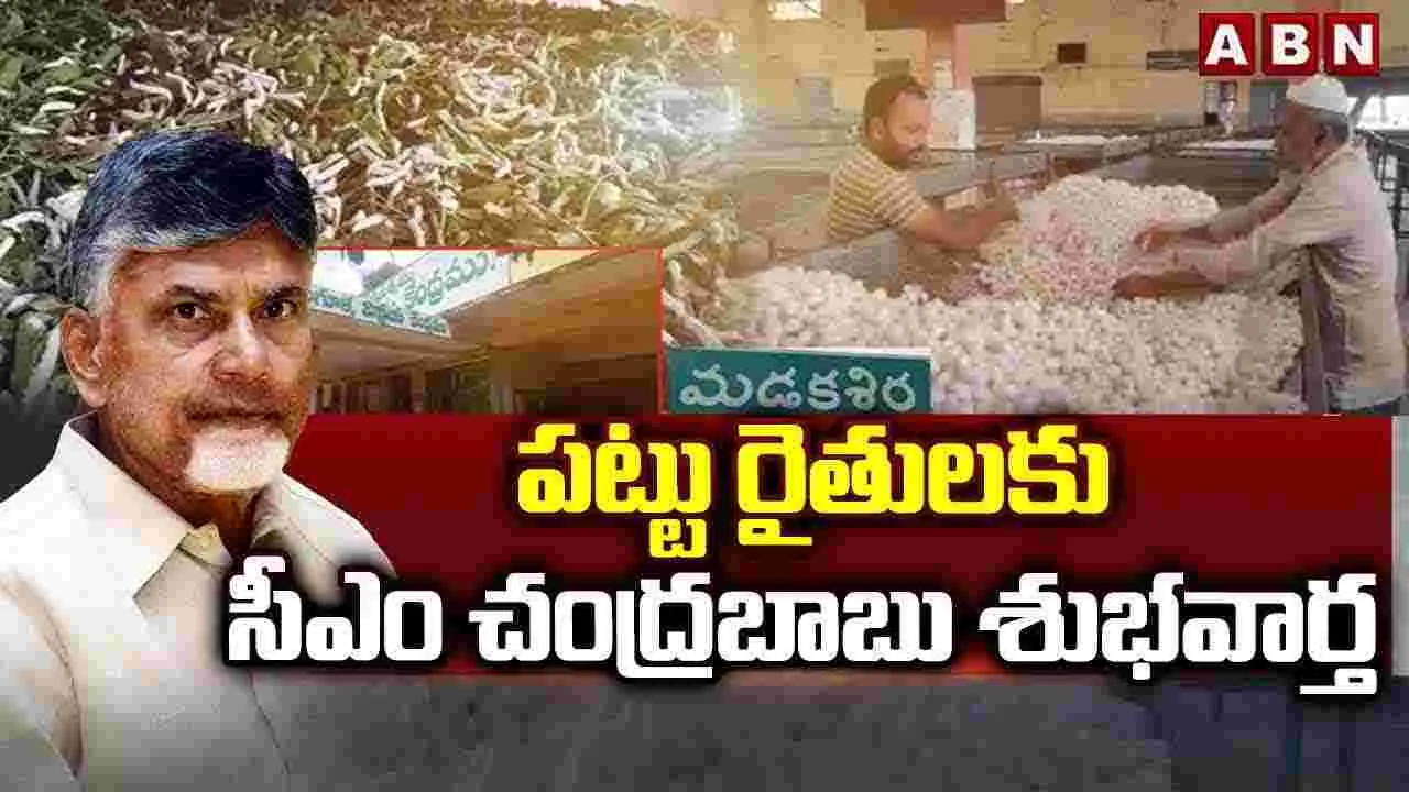 పట్టు రైతులకు సీఎం చంద్రబాబు శుభవార్త