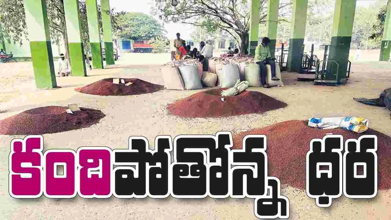 కందిపోతోన్న ధర