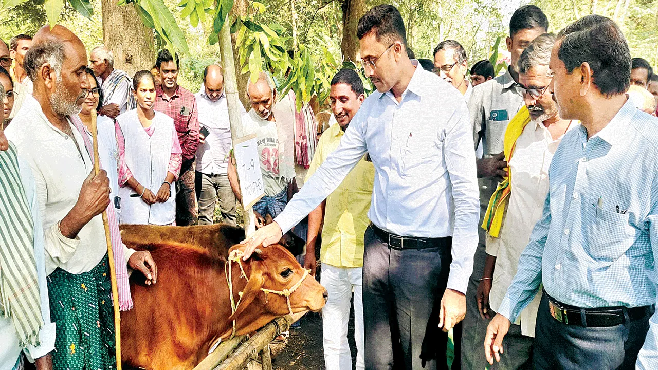 పాడి రైతుల ఆర్థికాభివృద్ధికి కృషి