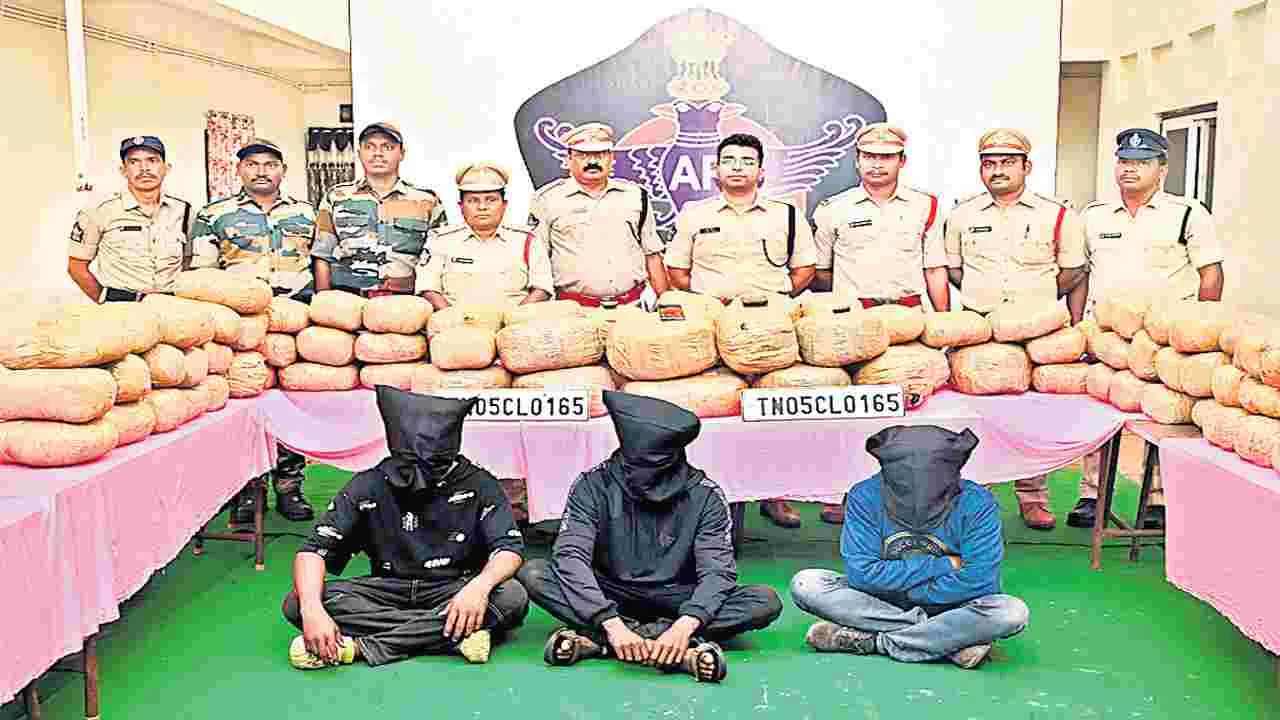205 కిలోల గంజాయి పట్టివేత