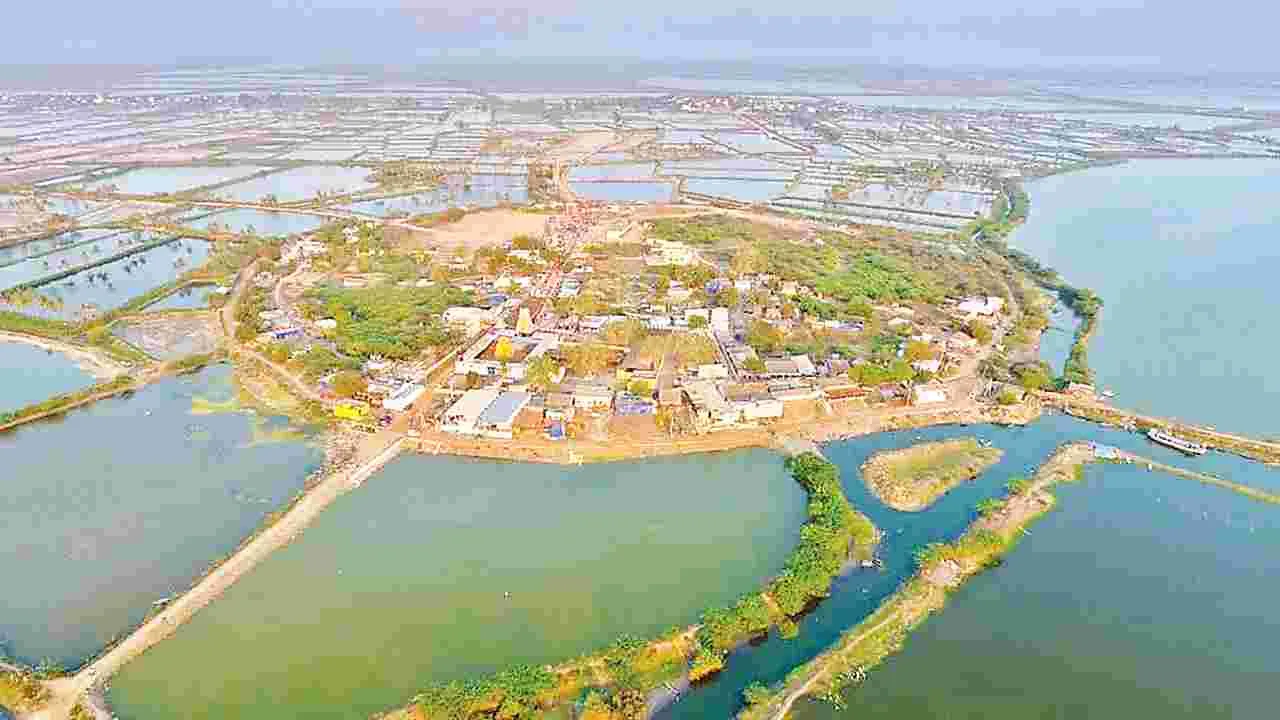 కొల్లేరు ఏం చేద్దాం ?