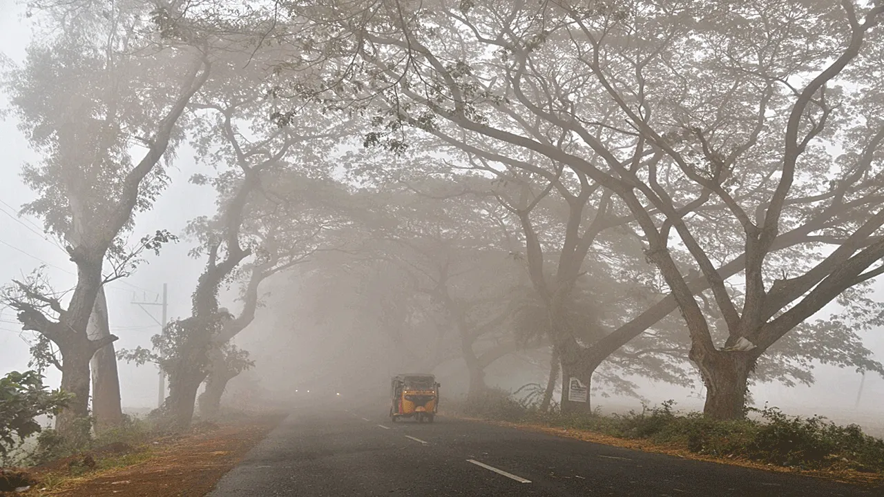 snow: మంచు కురిసే వేళ..
