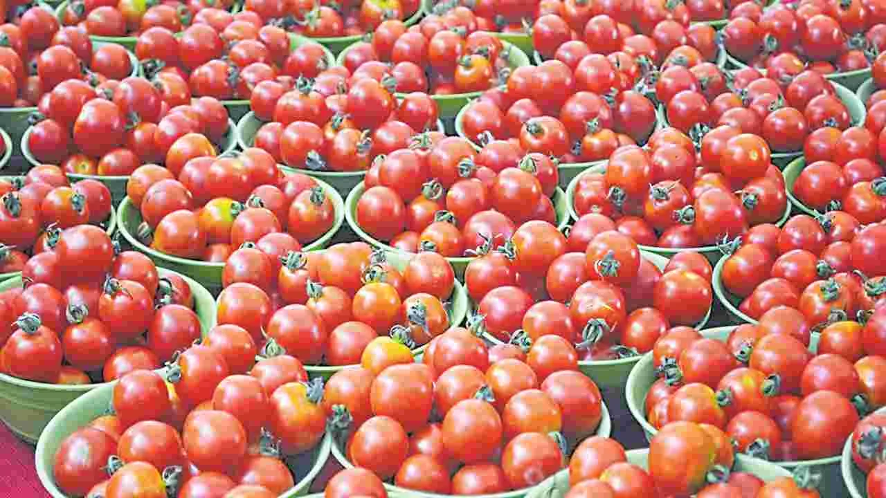 టమాట వింటుంది!