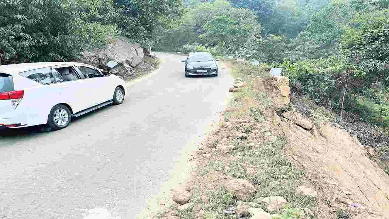 ప్రాణాలు పోతేగాని పట్టదా?