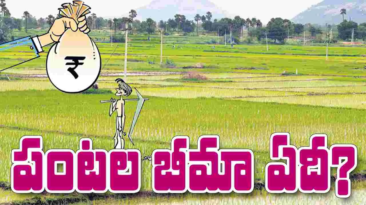 పంటల బీమా ఏదీ?