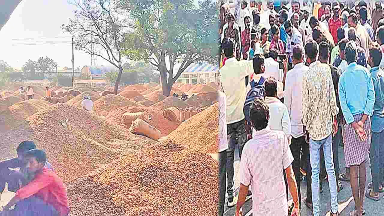 Farmers: బంగారు పంటలు.. బేజారు ధరలు
