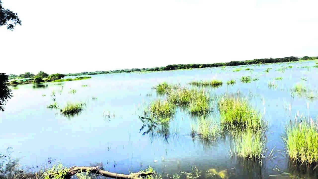 TANK : నాడు వెలవెల..నేడు జలకళ