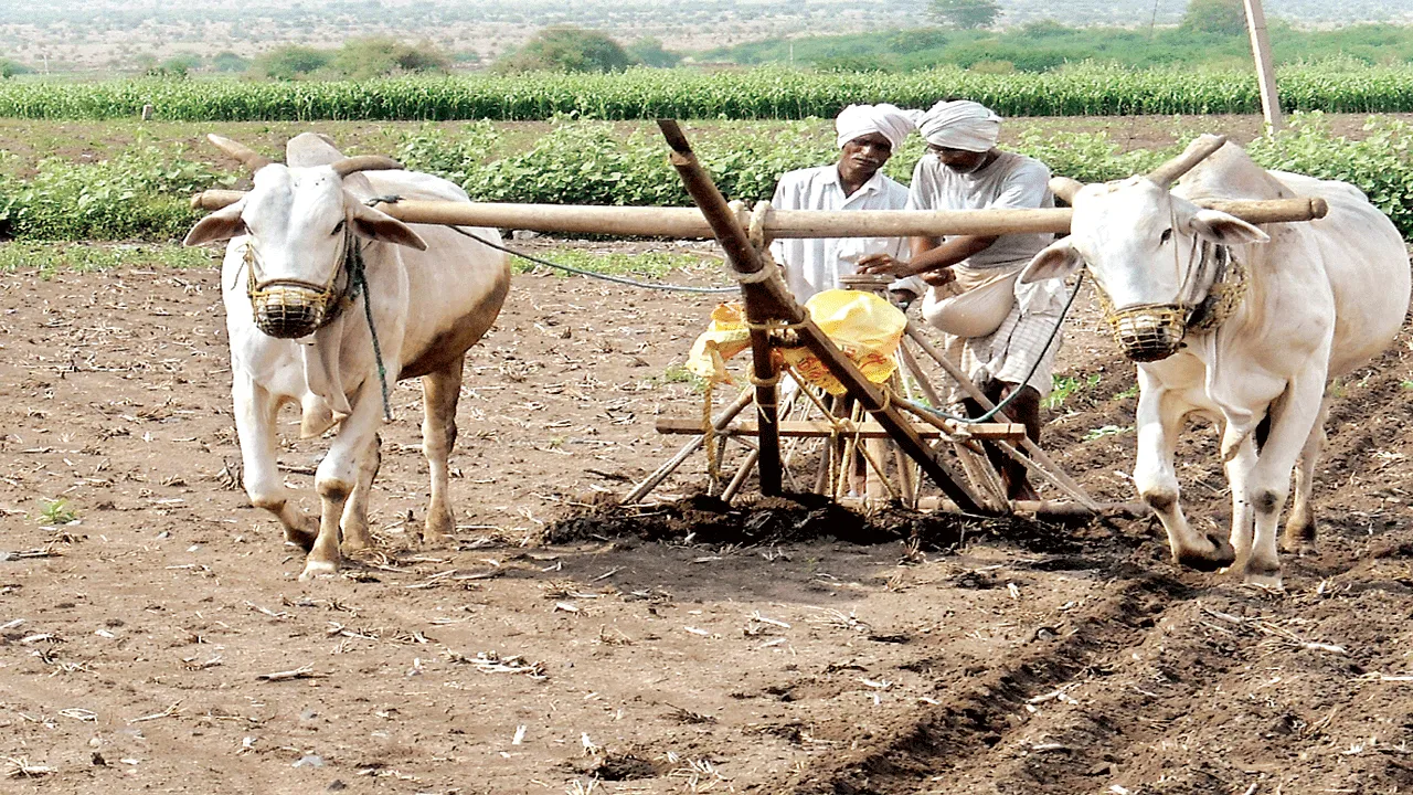 రైతులకు ఆన్‌లైన్‌ గుర్తింపు నెంబర్‌