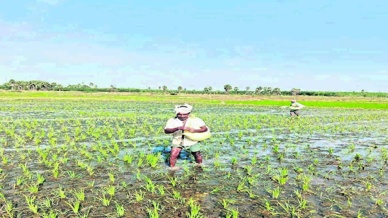 నా‘నో’ యూరియా!
