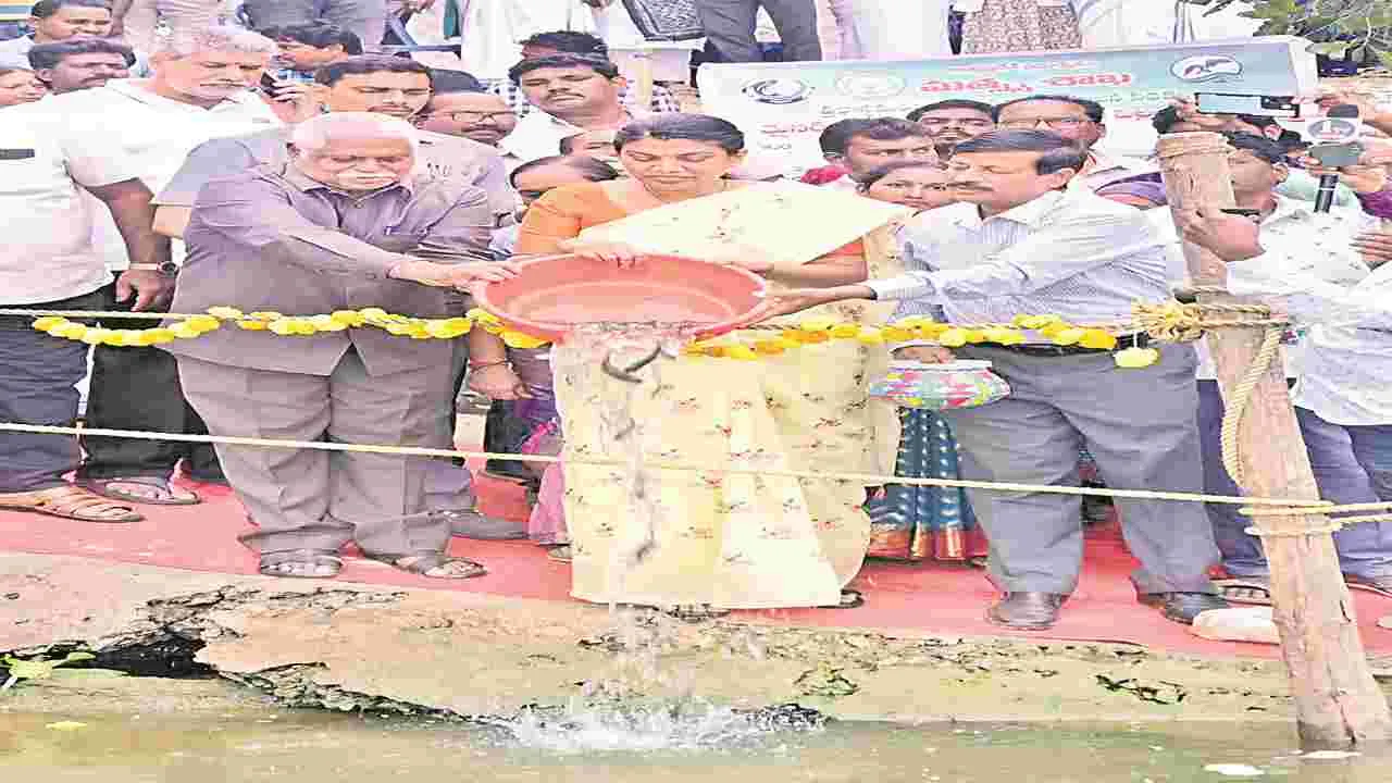 చెరువుల్లో 3.23 లక్షల చేప పిల్లల విడుదల