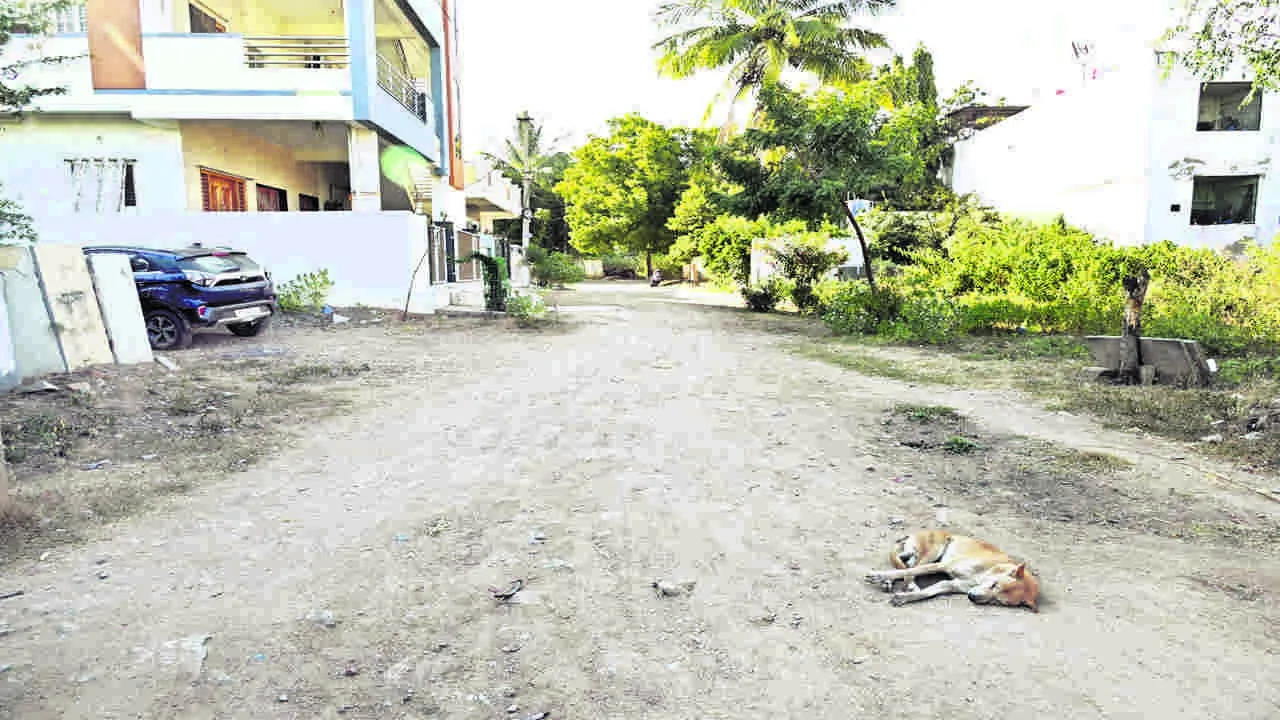 PROGRESS :  అభివృద్ధి అంతంతే..