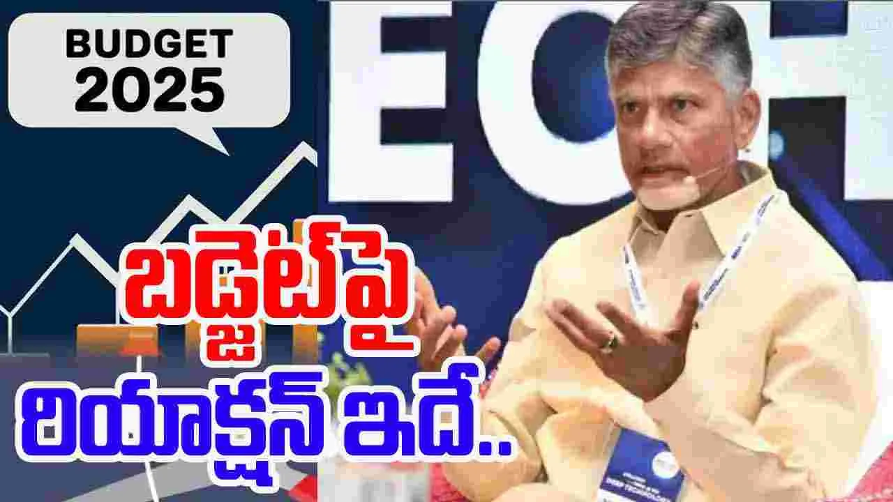 Budget 2025: బడ్జెట్‌‌పై సీఎం చంద్రబాబు ఫస్ట్ రియాక్షన్.. ఏమన్నారంటే..