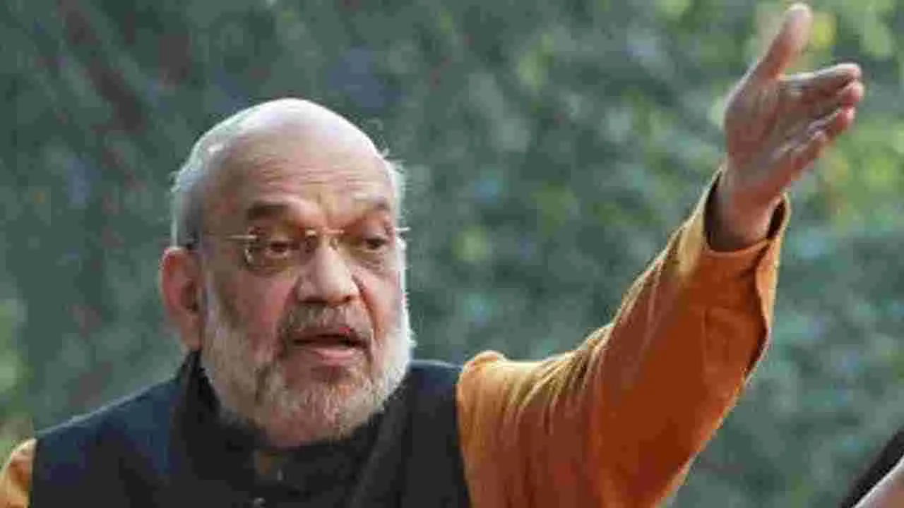 Delhi Assembly Elections: ఎన్నికల ప్రచారంలో దూకుడు పెంచిన బీజేపీ