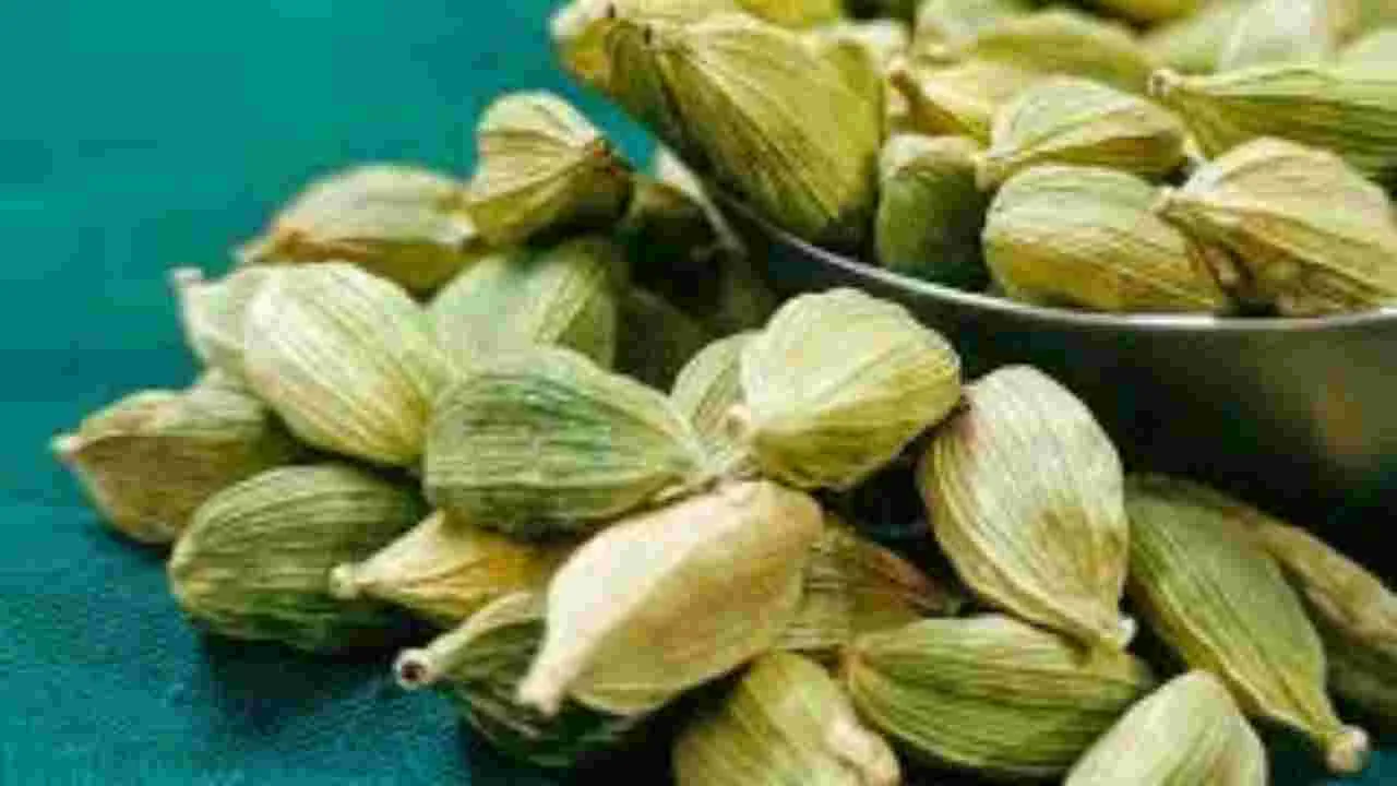 Cardamom: ఏలకులను ఈ విధంగా తీసుకుంటే.. అద్భుతమైన ప్రయోజనాలు..