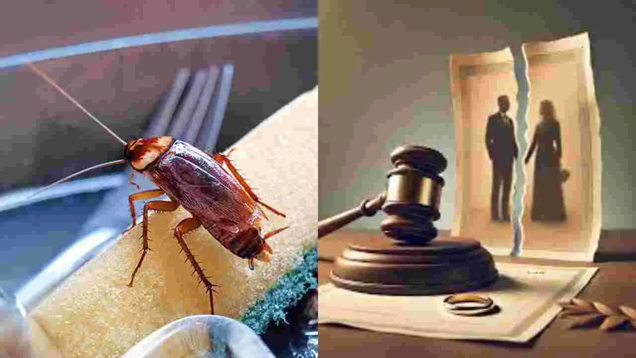 Viral News: కాపురంలో చిచ్చురేపిన బొద్దింక.. దెబ్బకు విడాకులు..