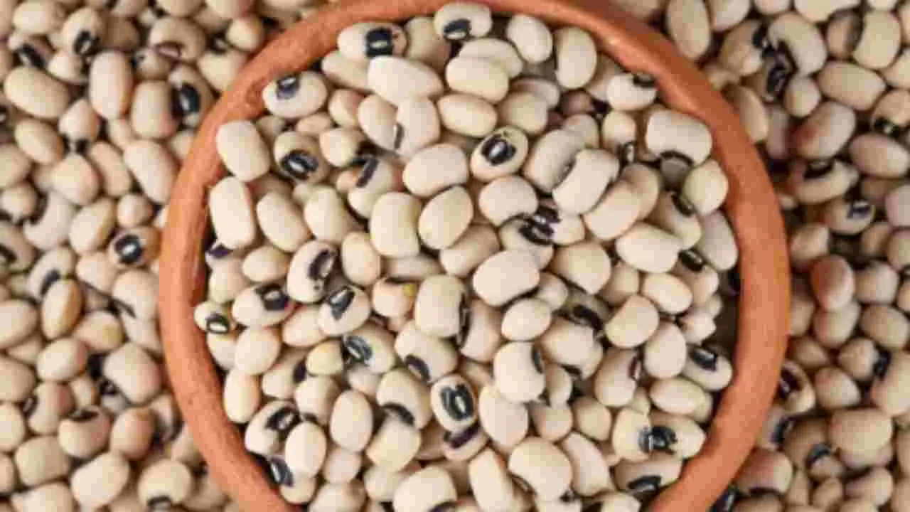 Lobia Health Benefits: ప్రోటీన్స్ కోసం చికెన్, మటన్‌  కాదు.. వీటిని తినండి.. 