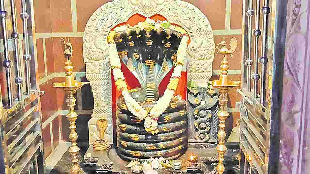 Nagoba Jatara 2025 : నాగోబా జాతరకు వేళాయే... దారులన్నీ కేస్లాపూర్ వైపే..