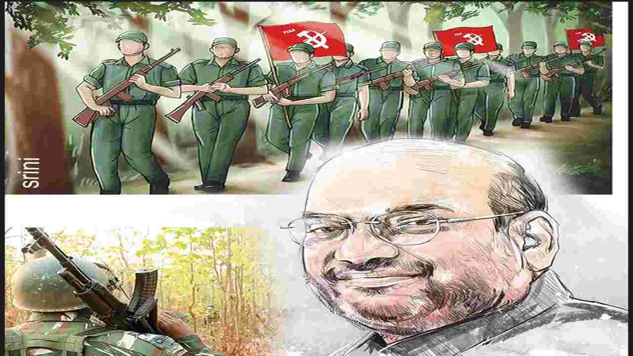 Amit Shah : అమిత్‌షా కల ఫలిస్తుందా?