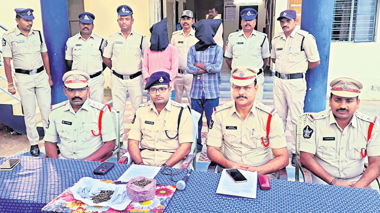 గంజాయి రవాణా, విక్రయాలపై ప్రత్యేక నిఘా