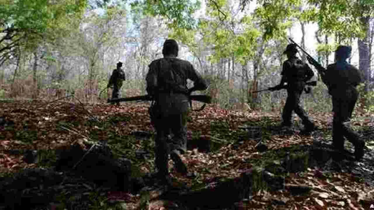 Maoist Member : మావోయిస్టు సోడి పొజ్జ అరెస్టు