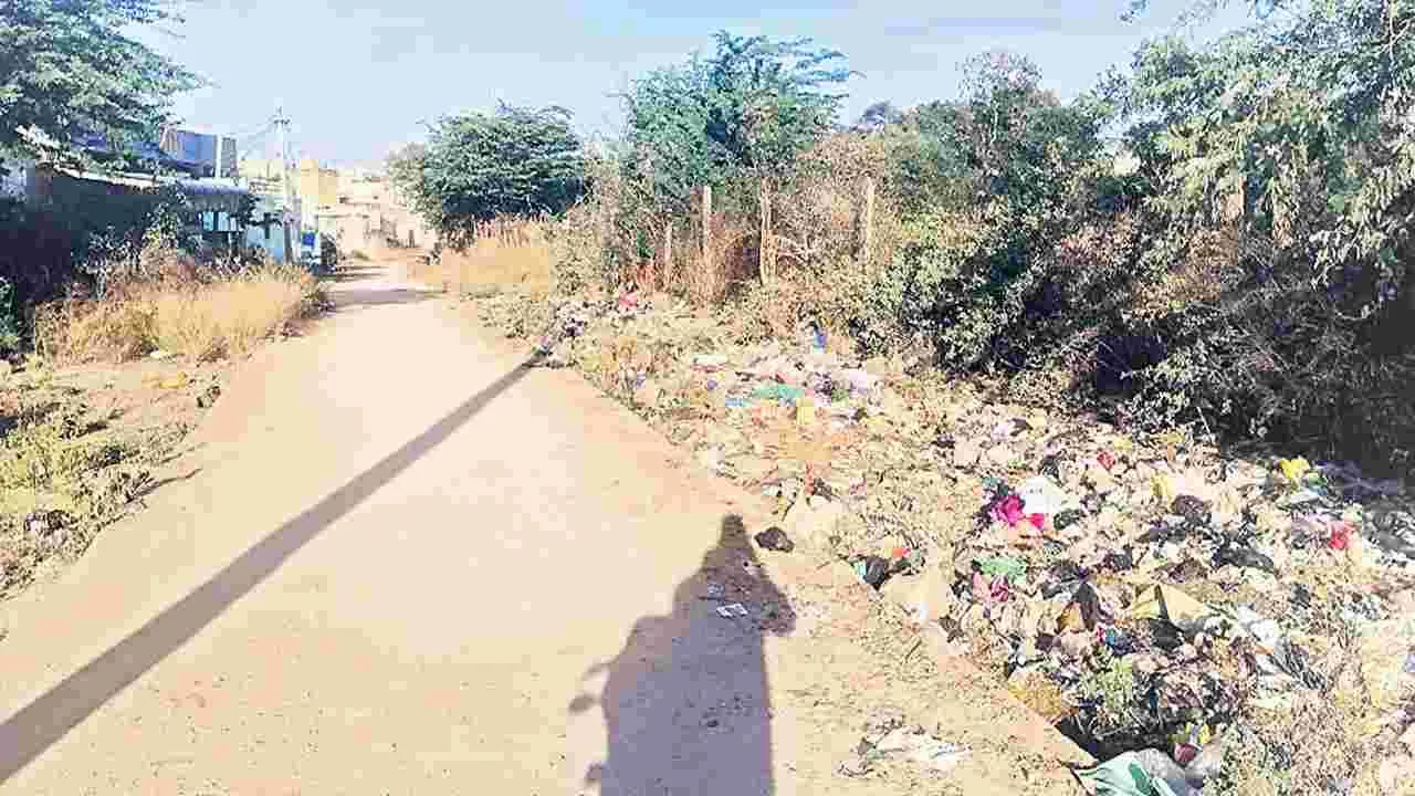 ఏ వీధిలో చూసినా చెత్తే..!