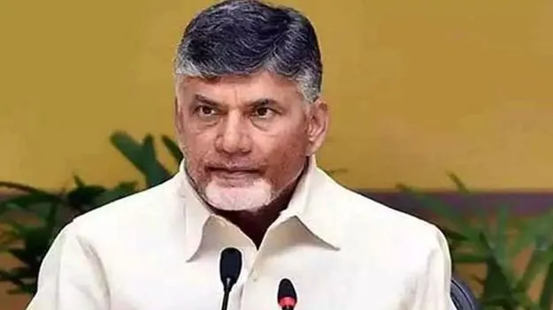 CM ChandraBabu: పార్టీని అలా వదిలేస్తే అందరం మునుగుతాం